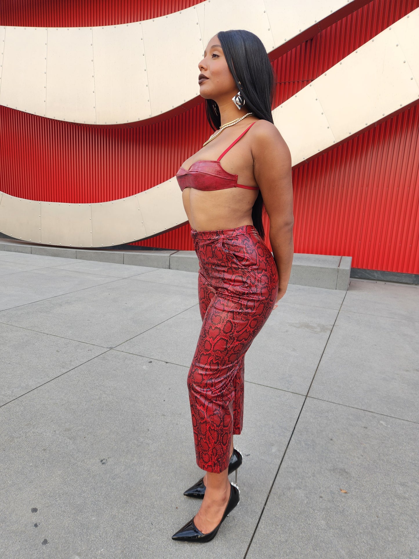 Snaky and Croc Pant Set