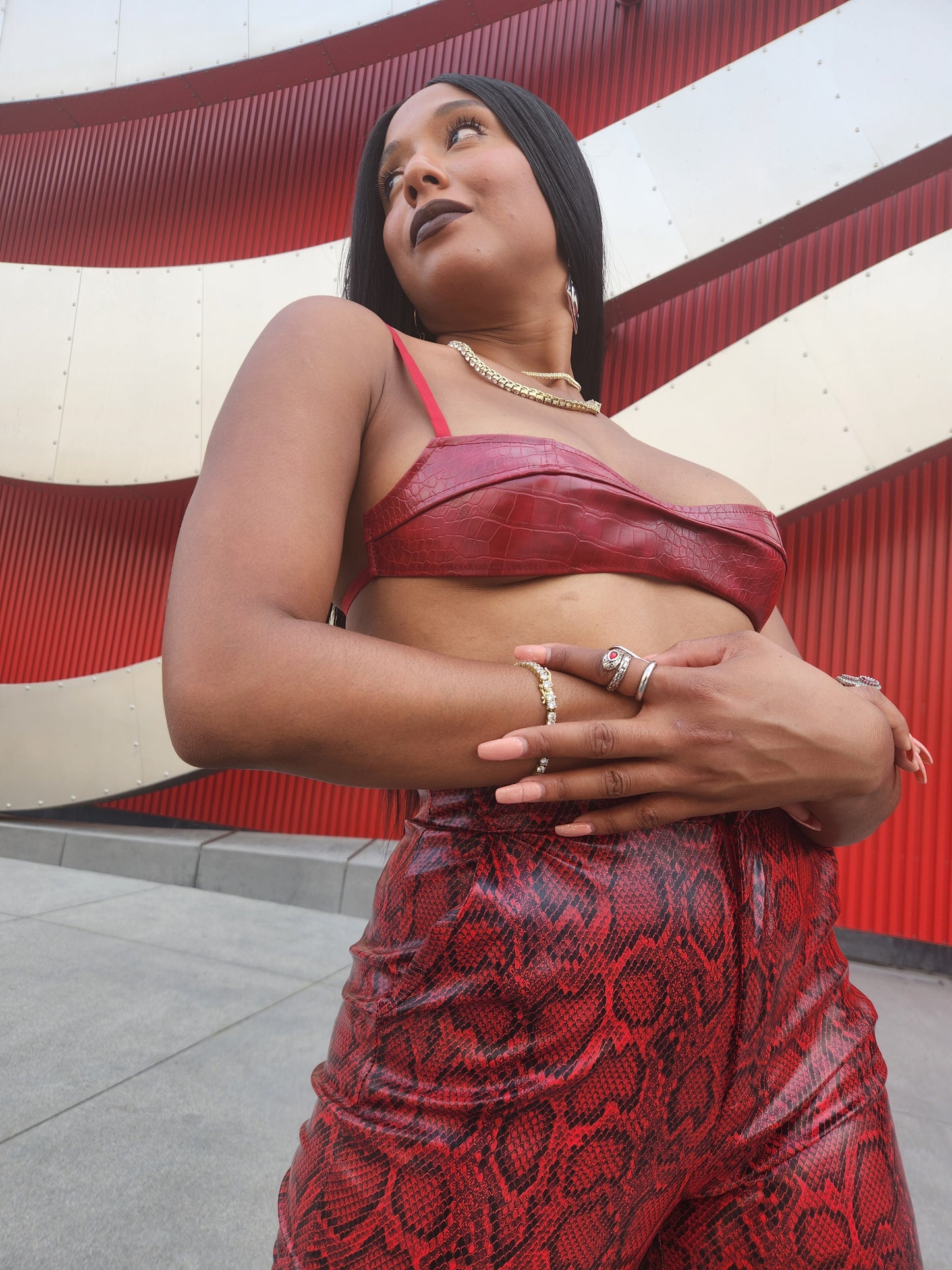 Snaky and Croc Pant Set